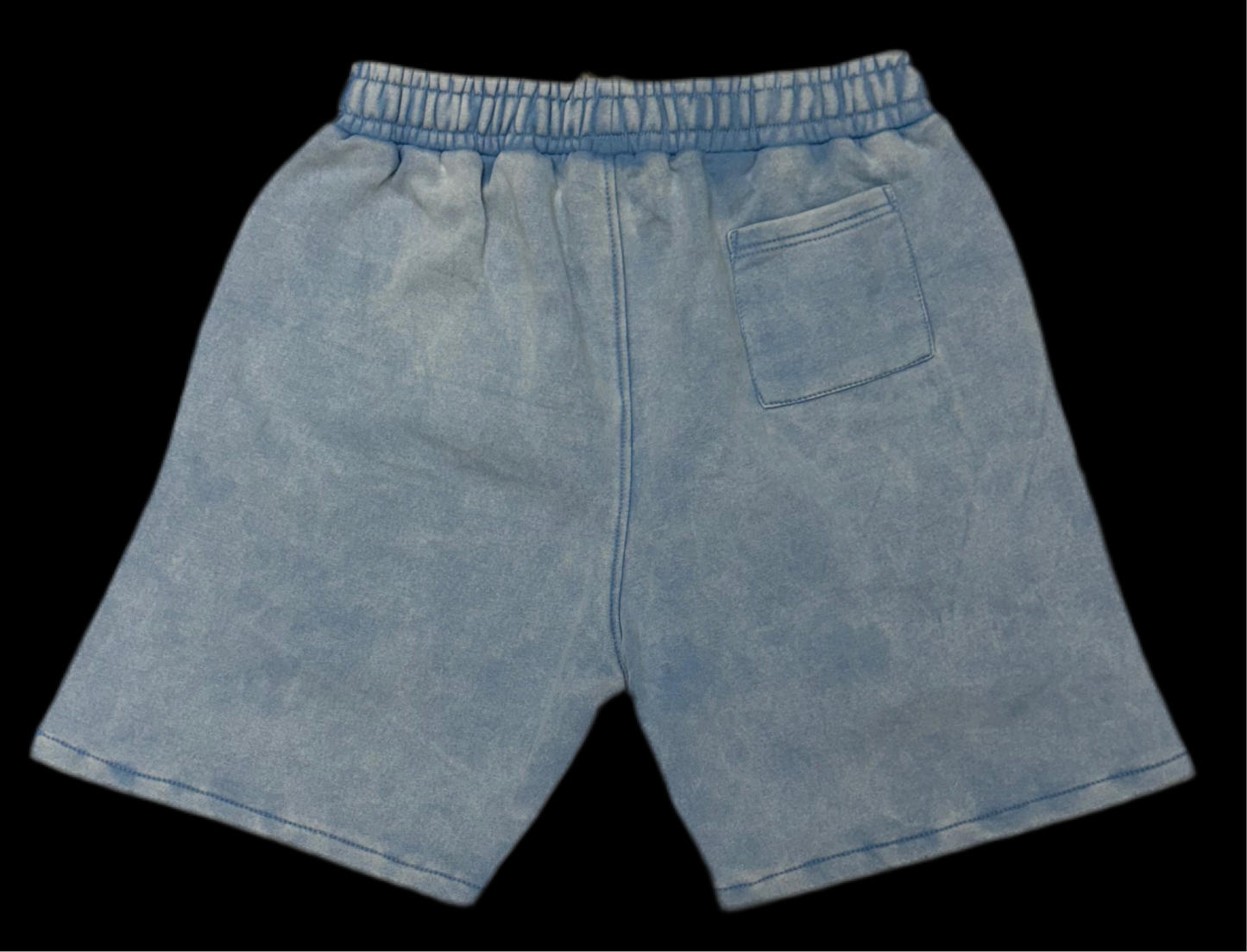 FADED DEPT. BIG BLUE FADED SHORTS